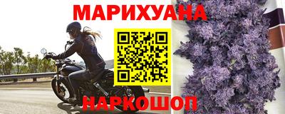 jwh Нальчик