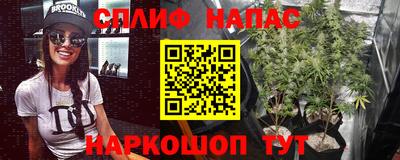 jwh Нальчик