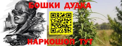 jwh Нальчик