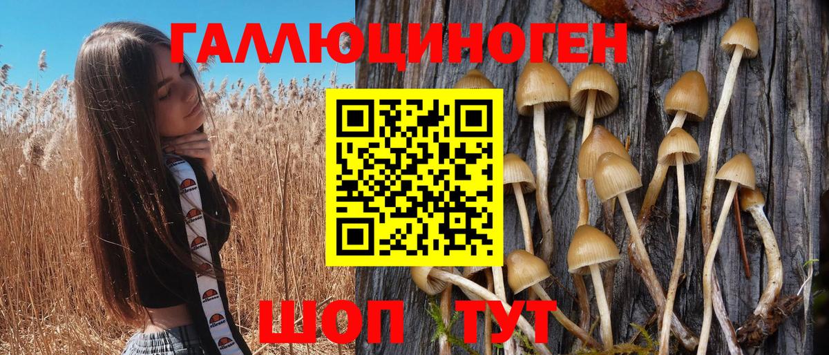 Псилоцибиновые грибы GOLDEN TEACHER Славянск-на-Кубани